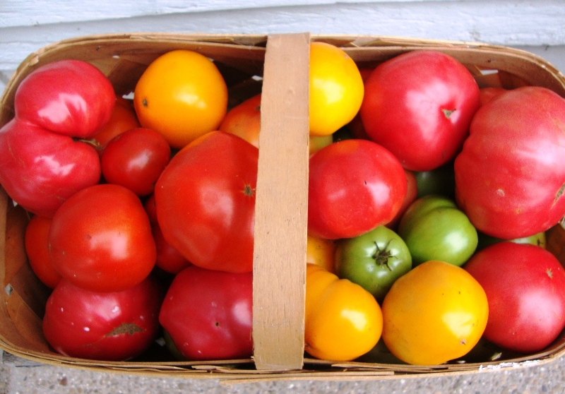 alaina-drawdy-cox-market-tomatoes.jpg