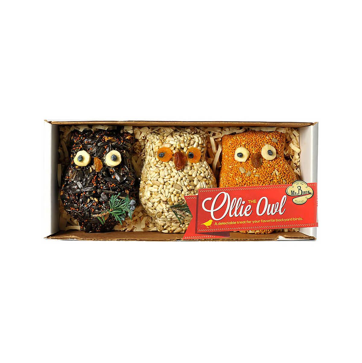 Mr. Bird Ollie the Owl Ornament - 3 Pack – Mast General Store