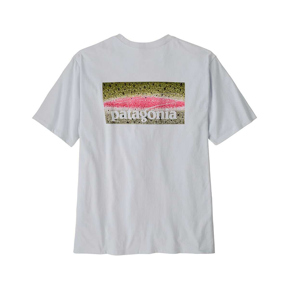 Patagonia Men's Take a Stand Responsibili-Tee – Mast General Store