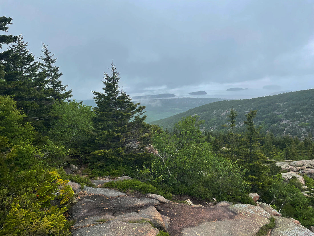 A long range view from a mountain peak with rocks and pines in the foreground and a rocky coastline and ocean surrounded by fog in the background. Taken from Cadillac Mountain.