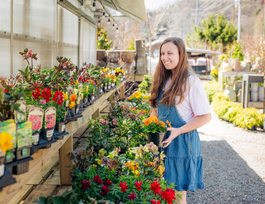 A woman wearing a demin overall skirt  shopping for flowers at a nursery
