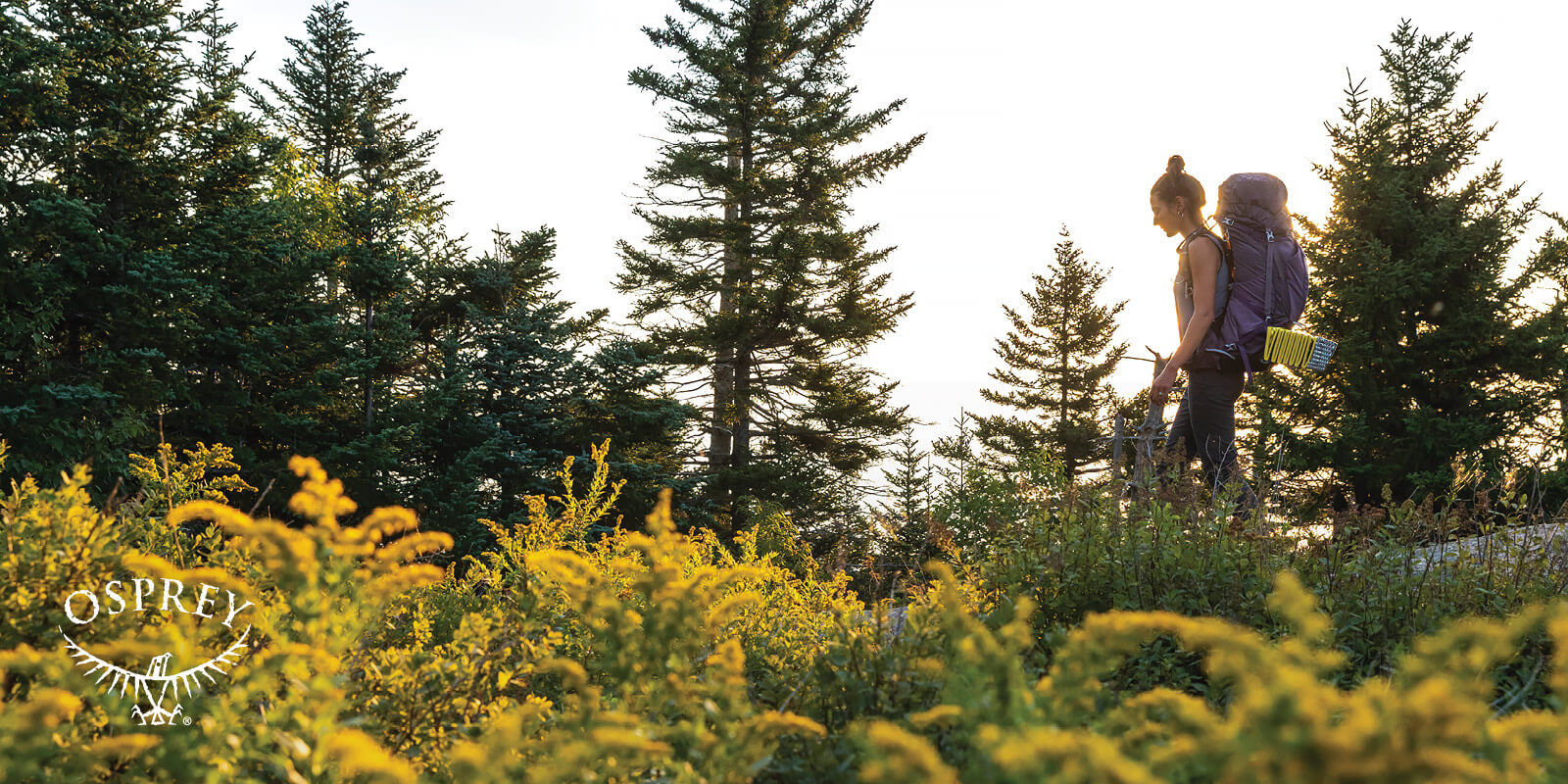 Person wearing an Osprey backpack designed for outdoor hiking stands in a field of yellow flowers on a sunny day, with trees in the background