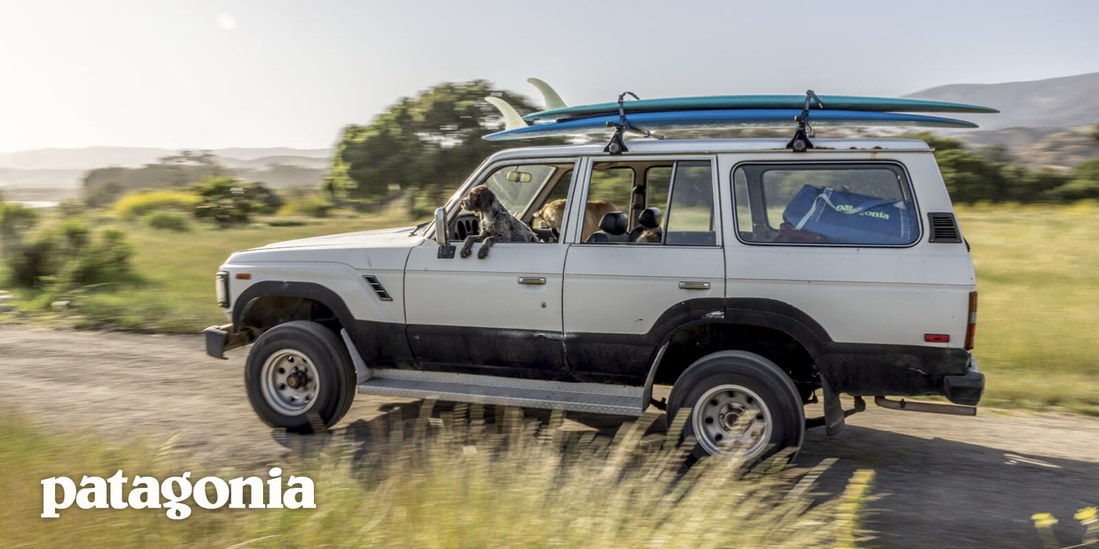 A dog hangs out the driver’s window of a white vintage SUV driving along a scenic road, with a Patagonia duffel bag inside and two surfboards strapped to the roof