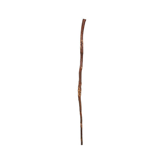 East Tennessee Birdhouses Hiking Stick