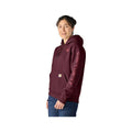 Carhartt Women's Iconic Clarksburg Logo Hooded Sweatshirt