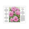 The Old Farmer's Almanac 2027 Gardening Calendar