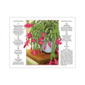 The Old Farmer's Almanac 2027 Gardening Calendar