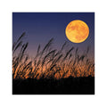 The Old Farmer's Almanac 2027 Moon Calendar