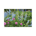 The Old Farmer's Almanac Flower Gardener's Handbook