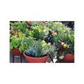 The Old Farmer's Almanac Container Gardener's Handbook