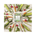 The Old Farmer's Almanac Vegetable Gardener's Handbook