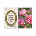 Old Farmer's Almanac 2027 Edition