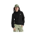 The North Face Women's Evolution Simple Dome Hoodie