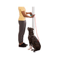Hitch Hiker Dog Leash Aurora Teal