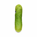 Kidrobot Yummy World Pickle Plush Toy  Green