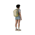 Patagonia Refugio Daypack 26L Backpack, Weathered Stone, alternate view 6