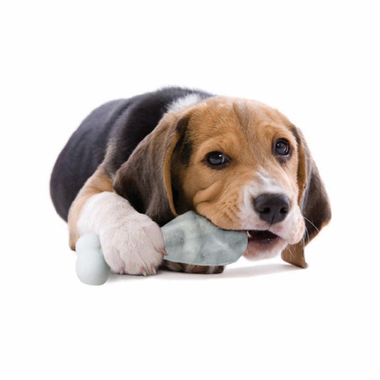 Pupsicle Ice Lolly Dog Toy