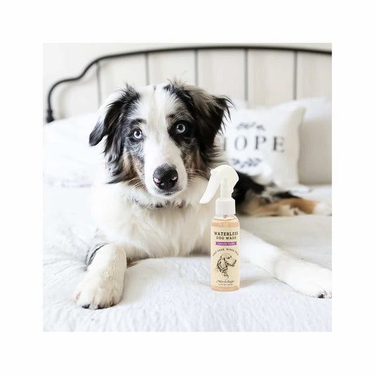 Mixologie Lavender Vanilla Waterless Dog Wash