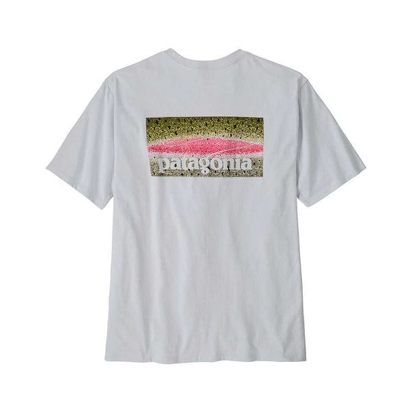 Patagonia Men's Take a Stand Responsibili-Tee – Mast General Store