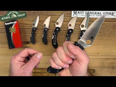 Spyderco Ladybug 3 Standard Edge Knife