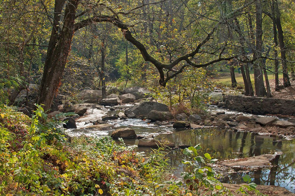 Friends of the Reedy River Receives Support on Friends' Day in Greenville