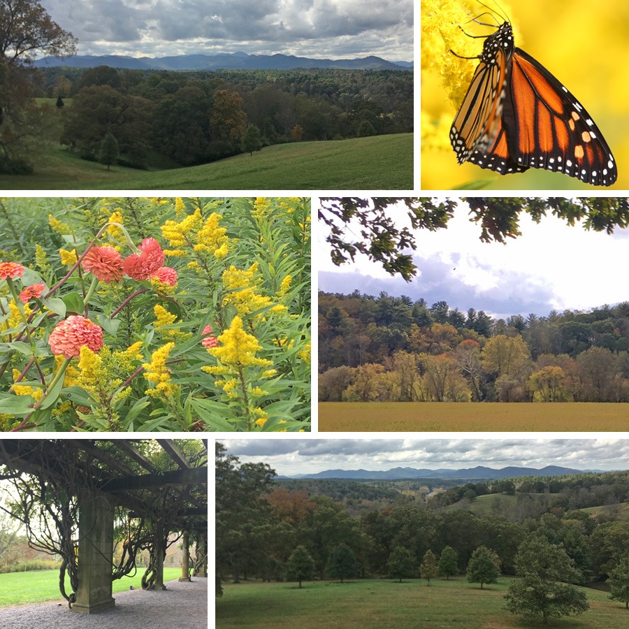 Asheville Collage