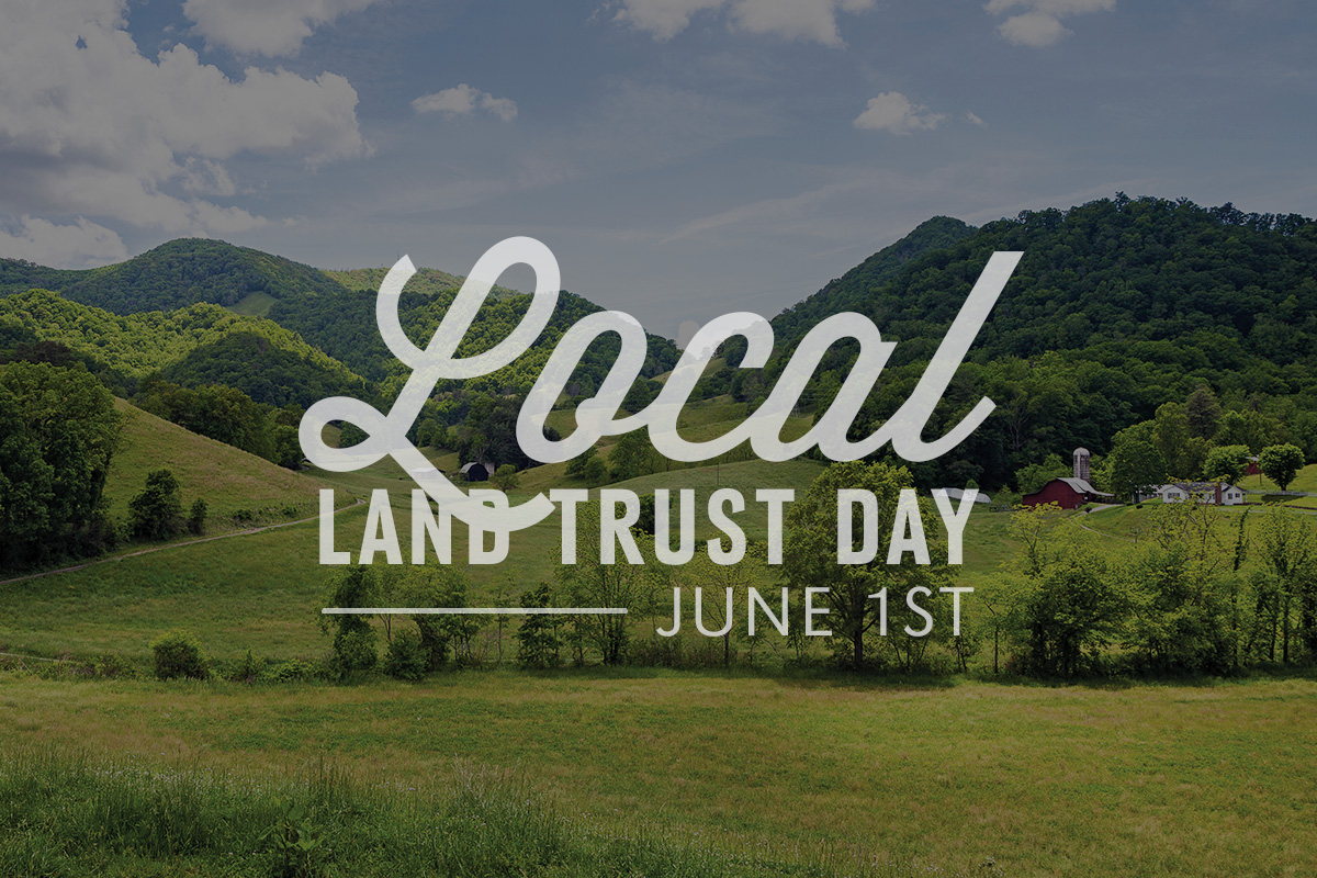 We're Celebrating 16 years of Land Trust Day on June 1st!