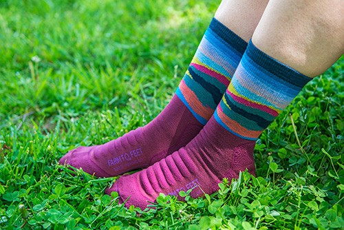 Farm to Feet Socks