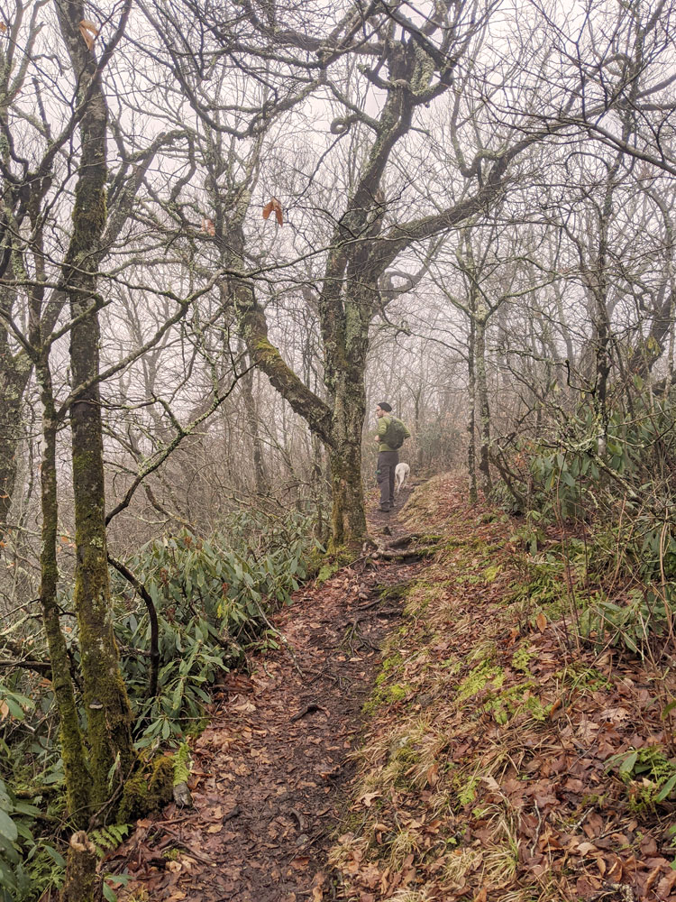 Hiking to Hawkbill Rock via the Snowball Trail