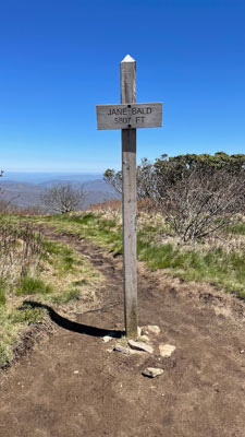 Jane Bald on Roan Mountain