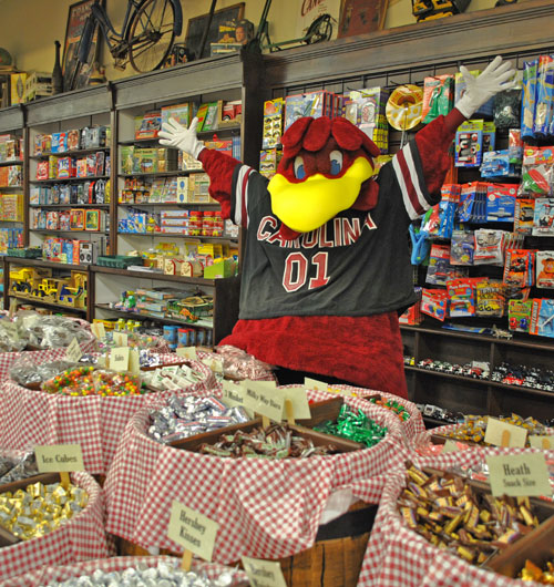 Cocky visiting the Mast Store in Downtown Columbia