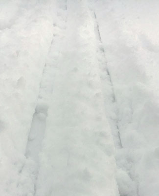 Cross country skiing first tracks