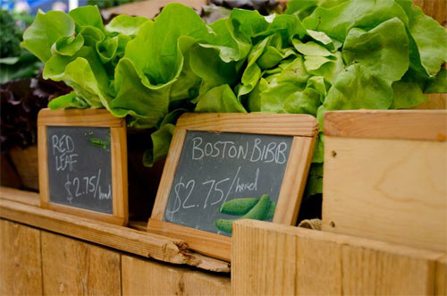 Lettuce at the Farmers Market