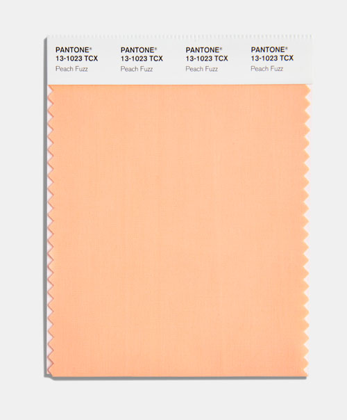 Pantone_11_02_23_FHI_cotton_swatch Pantone Color of the Year for 2024 - Peach Fuzz