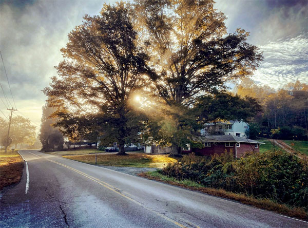 Tree in the fall with sun rays