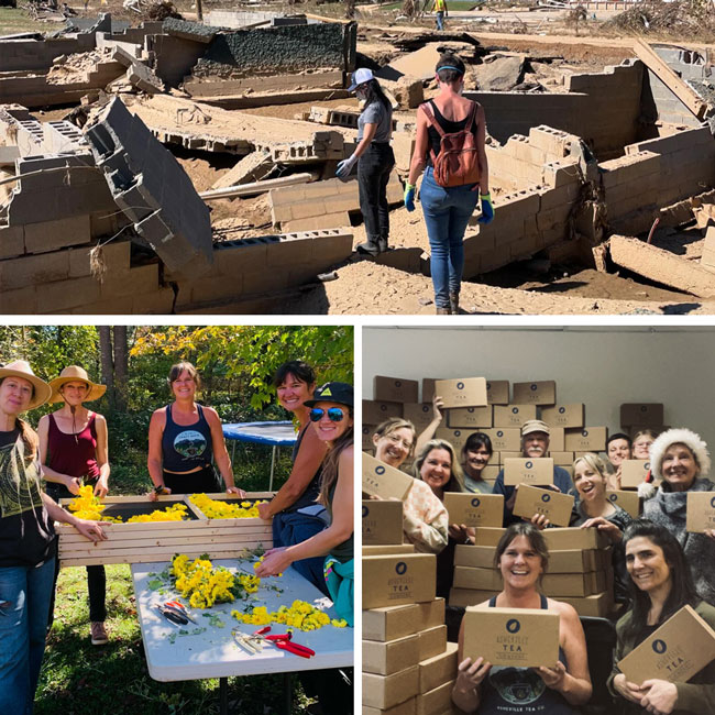 Asheville Tea Company