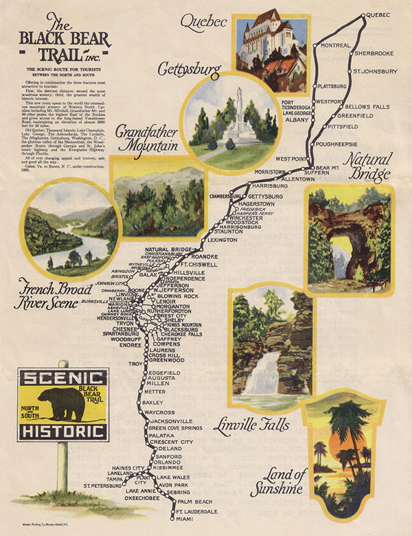 The Black Bear Trail