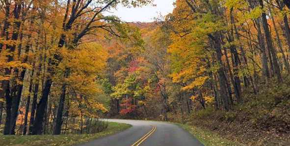 Fall on the Blue Ridge Parkway near Waynesville