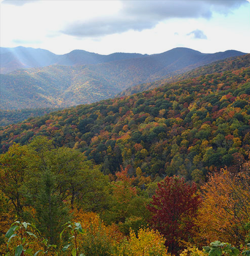 Long range view near Waynesville