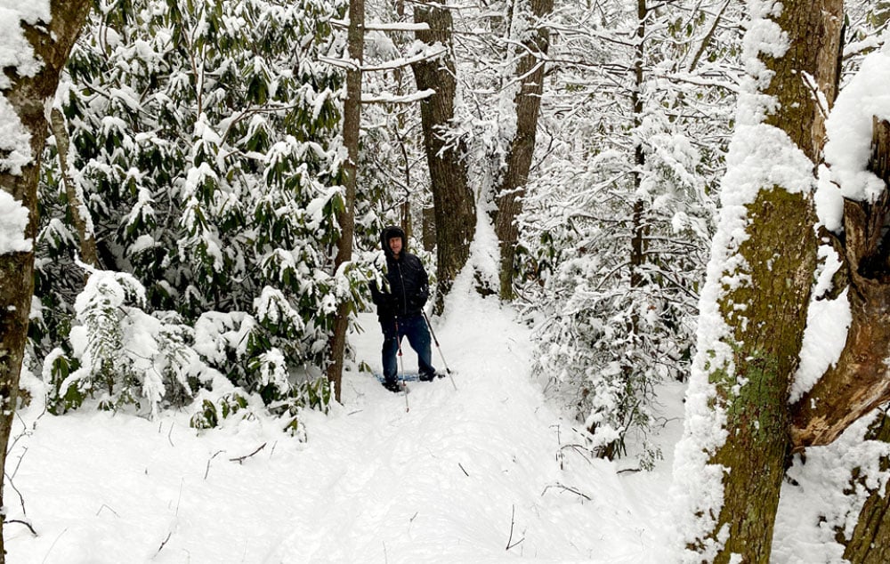 Enjoy a First Day Hike to start the New Year! 
