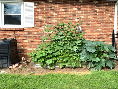 Get ready for summer gardening