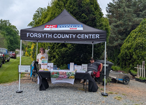 Volunteering at a Master Gardener Event
