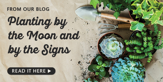 Planting by the Moon and Signs