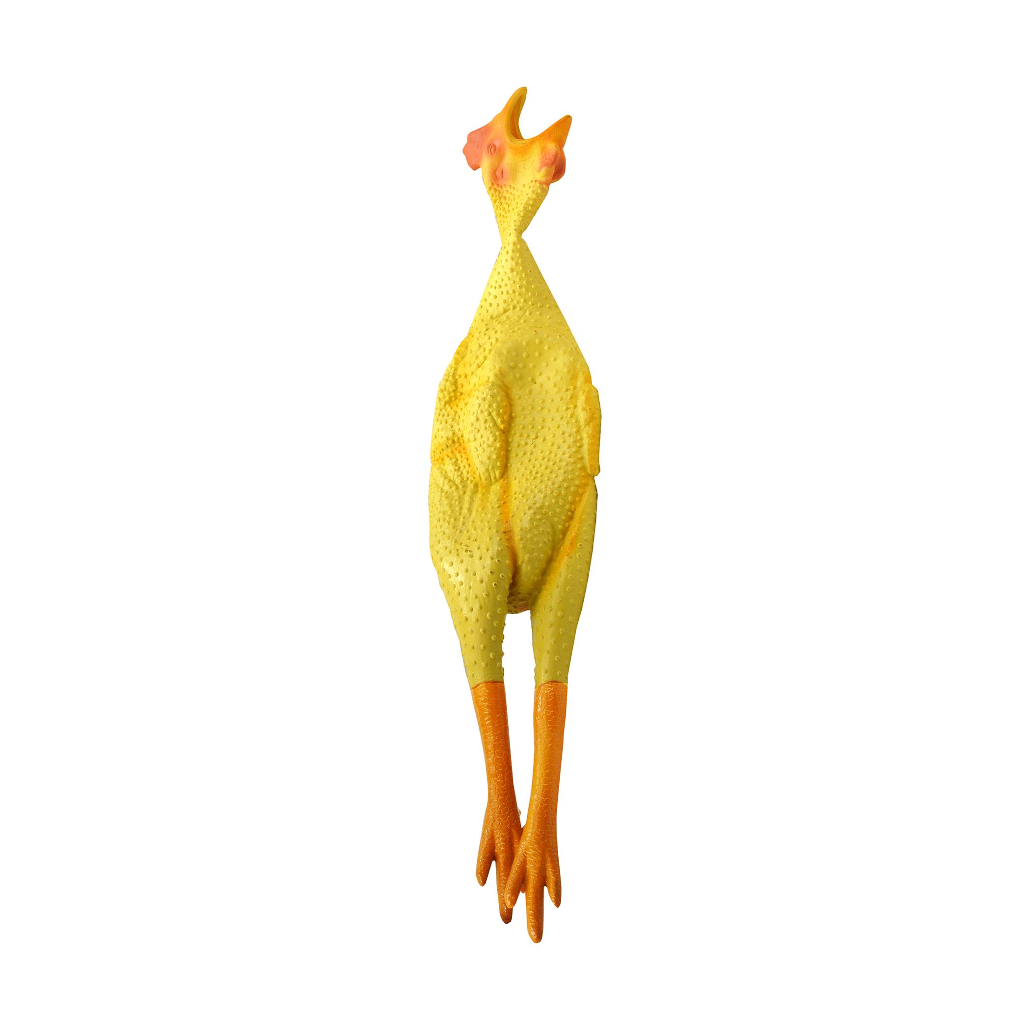 Toy Rubber Chicken | vlr.eng.br