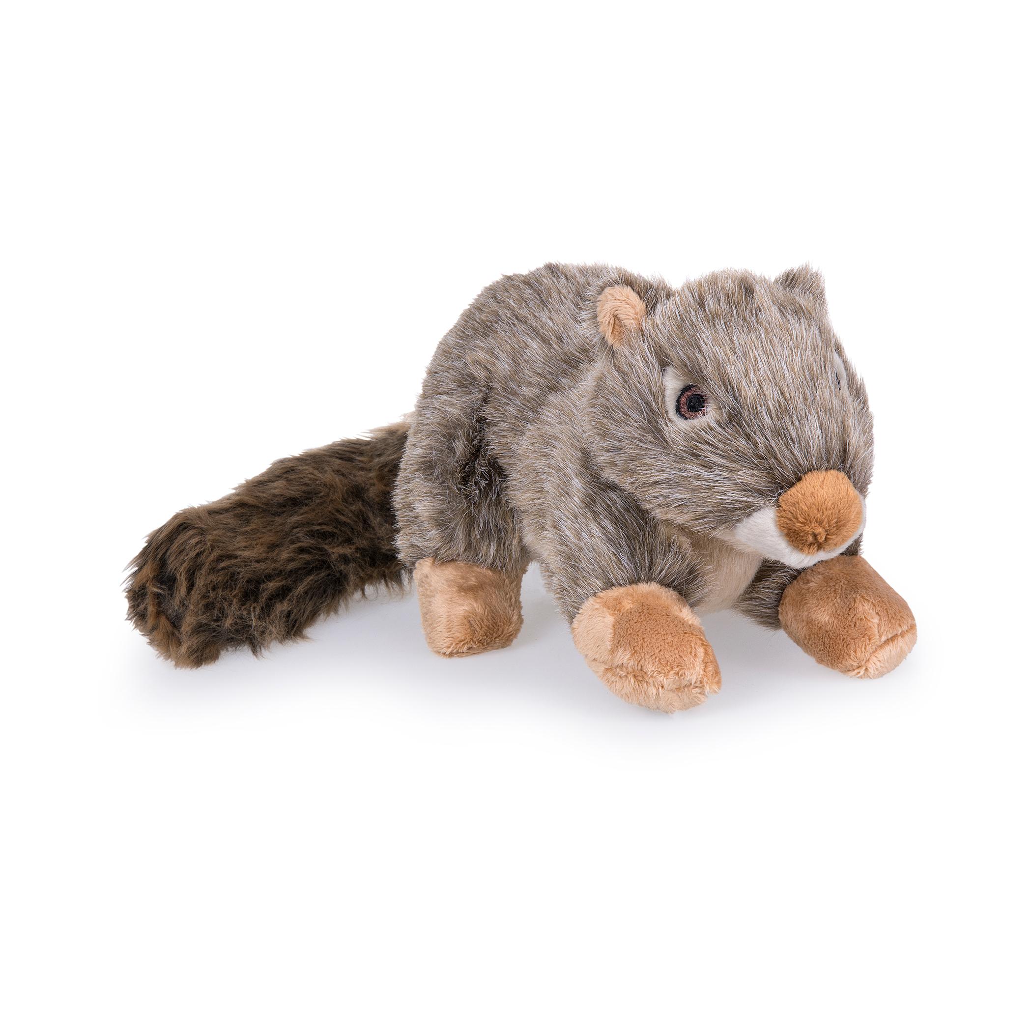 Nuts The Squirrel Dog Toy