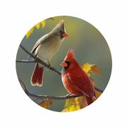 Silicone Non-Slip Jar Openers: CARDINAL_PAIR