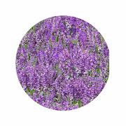 Silicone Non-Slip Jar Openers: LAVENDER_MEDLEY