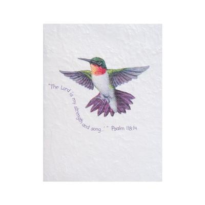 Hummingbird Notecards