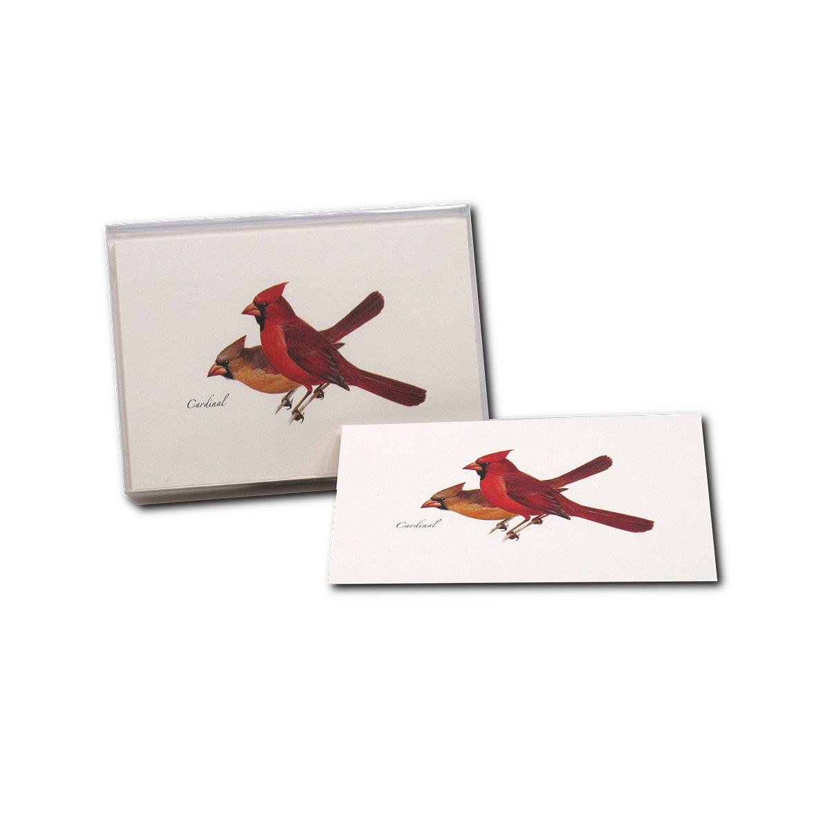  Cardinal Notecards