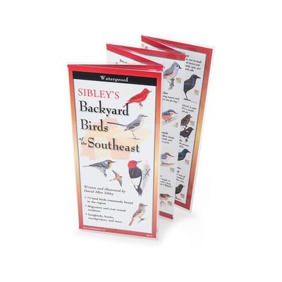 Backyard Birds of the Southeast Folding Guide